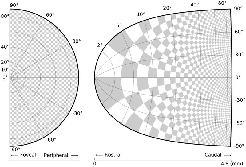 Illustration for article titled These Simple Tips Will Make Your Science Visualizations Rock
